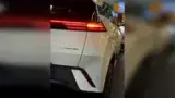 BYD Dolphin Mini - Miniatura 6