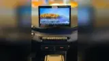 BYD Dolphin Mini - Miniatura 10