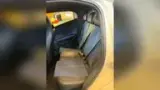 BYD Dolphin Mini - Miniatura 14