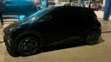 BYD Dolphin Mini - Miniatura 1