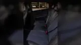 BYD Dolphin Mini - Miniatura 6