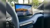 BYD Dolphin Mini - Miniatura 12