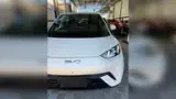BYD Dolphin Mini - Miniatura 8