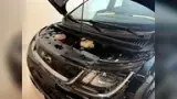 BYD Dolphin - Miniatura 8