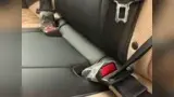 BYD Dolphin - Miniatura 16