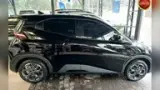 BYD Dolphin Mini - Miniatura 2