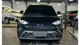 BYD Dolphin Mini - Miniatura 7