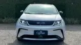 BYD Dolphin Plus - Miniatura 2
