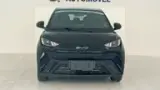 BYD Dolphin Mini - Miniatura 2