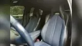 BYD Dolphin - Miniatura 8