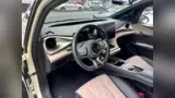 BYD Dolphin - Miniatura 14