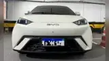 BYD Dolphin Mini - Miniatura 12