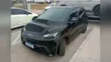 BYD Dolphin Mini - Miniatura 1