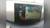 BYD Dolphin Mini - Miniatura 9