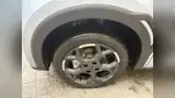 BYD Dolphin Mini - Miniatura 8