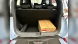 BYD Dolphin Mini - Miniatura 10