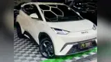 BYD Dolphin Mini - Miniatura 6