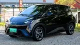 BYD Dolphin Mini - Miniatura 2