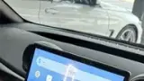 BYD Dolphin - Miniatura 11