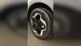 BYD Dolphin - Miniatura 11