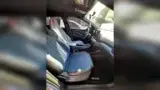 BYD Dolphin Mini - Miniatura 9