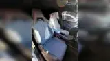 BYD Dolphin Mini - Miniatura 8