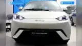 BYD Dolphin Mini - Miniatura 1