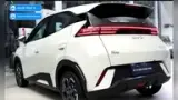 BYD Dolphin Mini - Miniatura 2