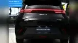 BYD Dolphin Mini - Miniatura 16