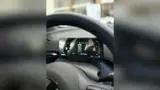 BYD Dolphin Mini - Miniatura 4