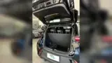 BYD Dolphin Mini - Miniatura 10
