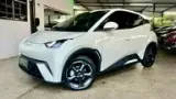 BYD Dolphin Mini - Miniatura 4