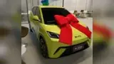 BYD Dolphin Mini - Miniatura 2