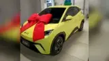 BYD Dolphin Mini - Miniatura 3