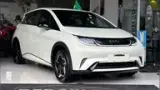 BYD Dolphin - Miniatura 1