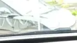 BYD Dolphin - Miniatura 7