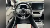 BYD Dolphin - Miniatura 8