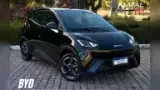 BYD Dolphin Mini - Miniatura 1