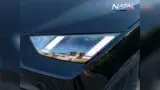 BYD Dolphin Mini - Miniatura 9
