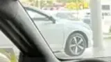 BYD Dolphin Mini - Miniatura 6
