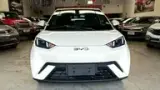 BYD Dolphin Mini - Miniatura 1