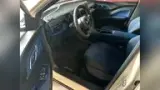 BYD Dolphin Mini - Miniatura 10