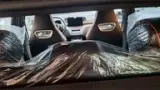 BYD Dolphin - Miniatura 8