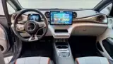 BYD Dolphin - Miniatura 11
