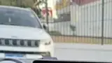 BYD Dolphin - Miniatura 12