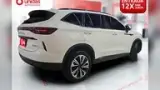 GWM Haval H6 Plug-in Hybrid - Miniatura 5