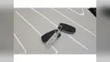 GWM Haval H6 Plug-in Hybrid - Miniatura 20