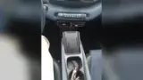 BYD Dolphin Mini - Miniatura 7