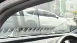 BYD Dolphin - Miniatura 6
