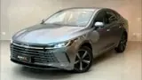 BYD King - Miniatura 1